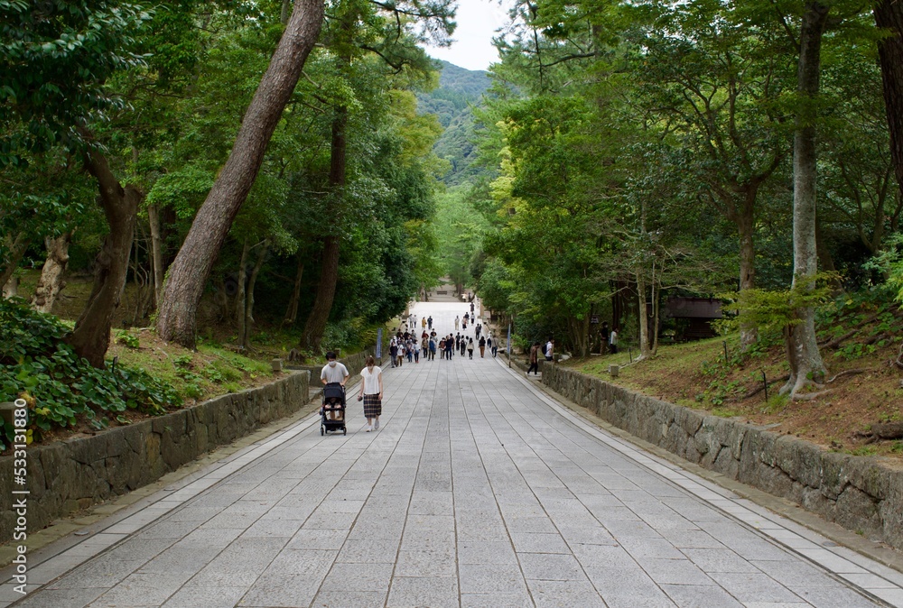木々に囲まれた参道と人々 木々に囲まれた参道と人々