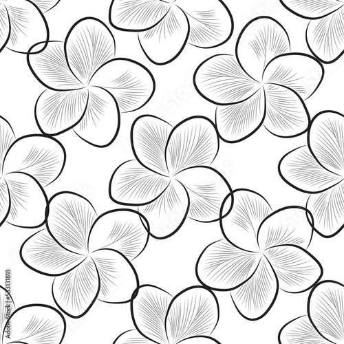 Fototapeta Naklejka Na Ścianę i Meble -  Seamless fabric of  floral Line Pattern Vector, like ornament vector. Suit for package design, wallpaper, fashion print.