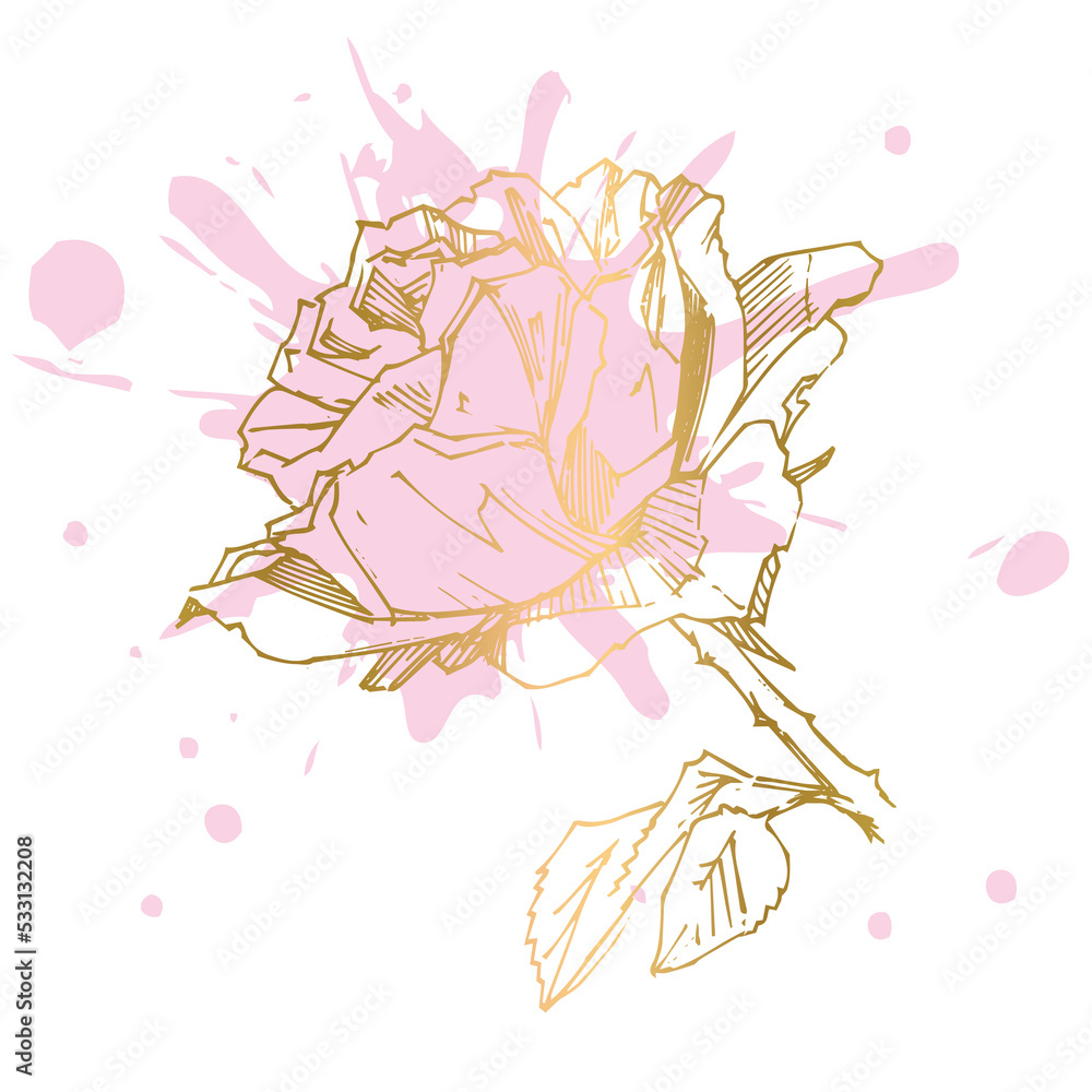 Hand drawn rose. PNG illustration. Vintage tattoo style rose. Flower motif sketch for design. Ink illustration isolated.