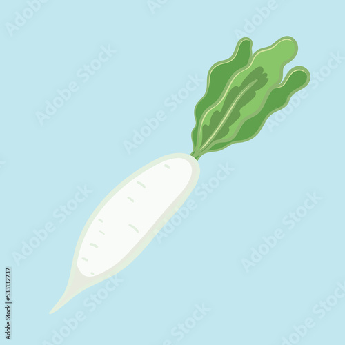 white radish illustration vector