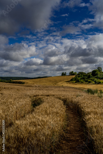 Paysage campagne 1431