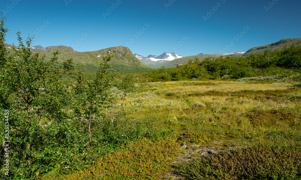 Glacier covered mountain on the far horizon in the green Arctic landscape of Sarek National Park, Sweden. Beautiful day of arctic summer in Swedish Lapland. Hiking in Laponia. Far north.