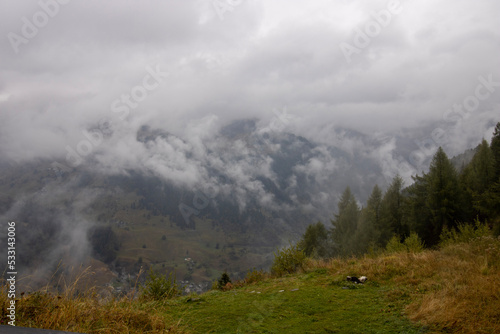 landscape with fog