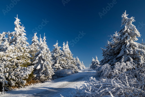 Winter landscape near Velka Destna, Orlicke mountains, Eastern Bohemia, Czech Republic © Richard Semik