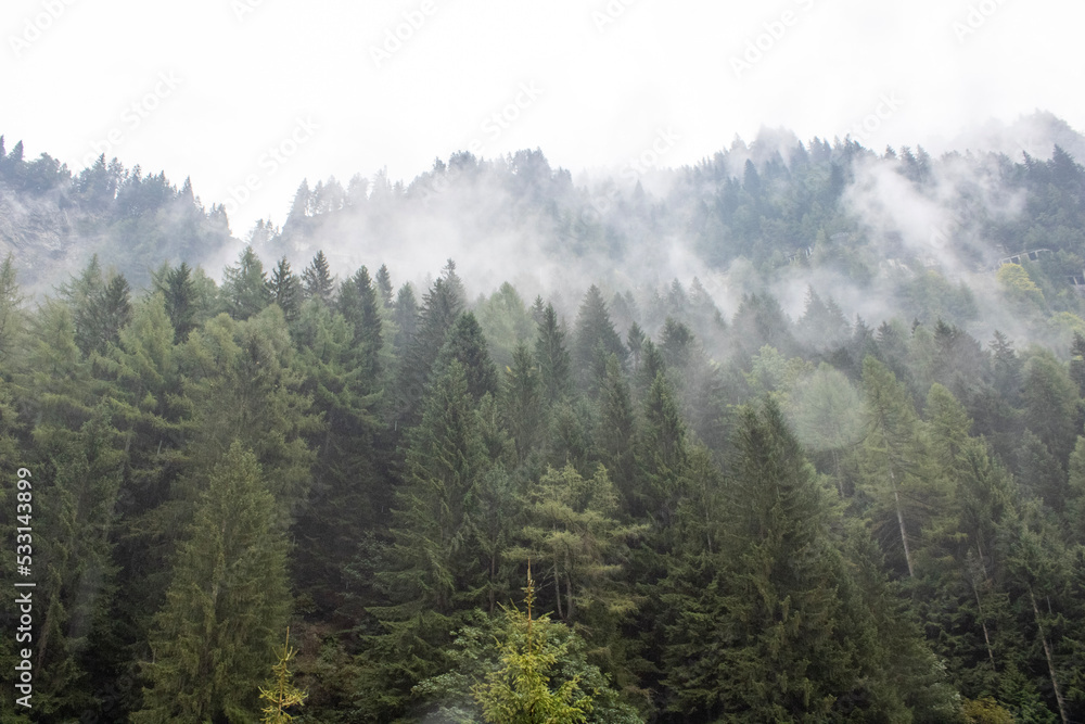 Obraz premium morning in the mountains