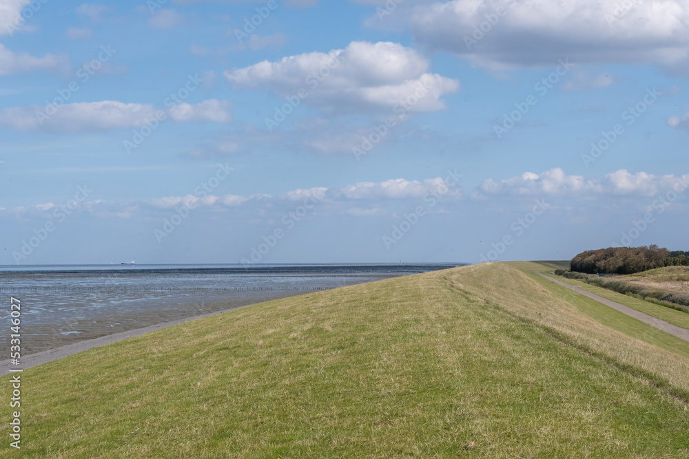 landscape with the sea