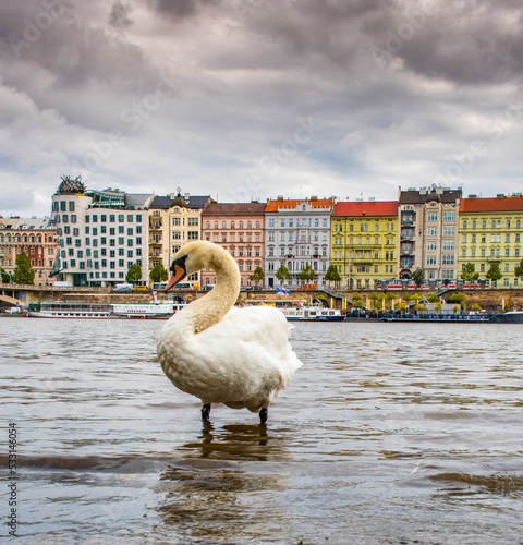 Rašínovo nábřeží, Prague, Bohemia region, Czech republic