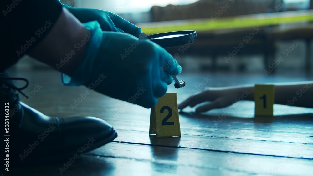 Detective Collecting Evidence in a Crime Scene. Forensic Specialists Making Expertise at Home of