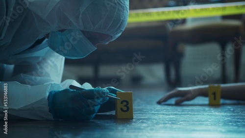 Detective Collecting Evidence in a Crime Scene. Forensic Specialists Making Expertise at Home of a Dead Person. Homicide Investigation by Professional Police Officer.