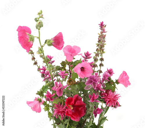 Flowers Salvia horminum, Rose mallow,  Hollyhock isolated on white background. Garden flowers Salvia horminum Pink Sunday, Malva trimestris, Alcea rosea. photo