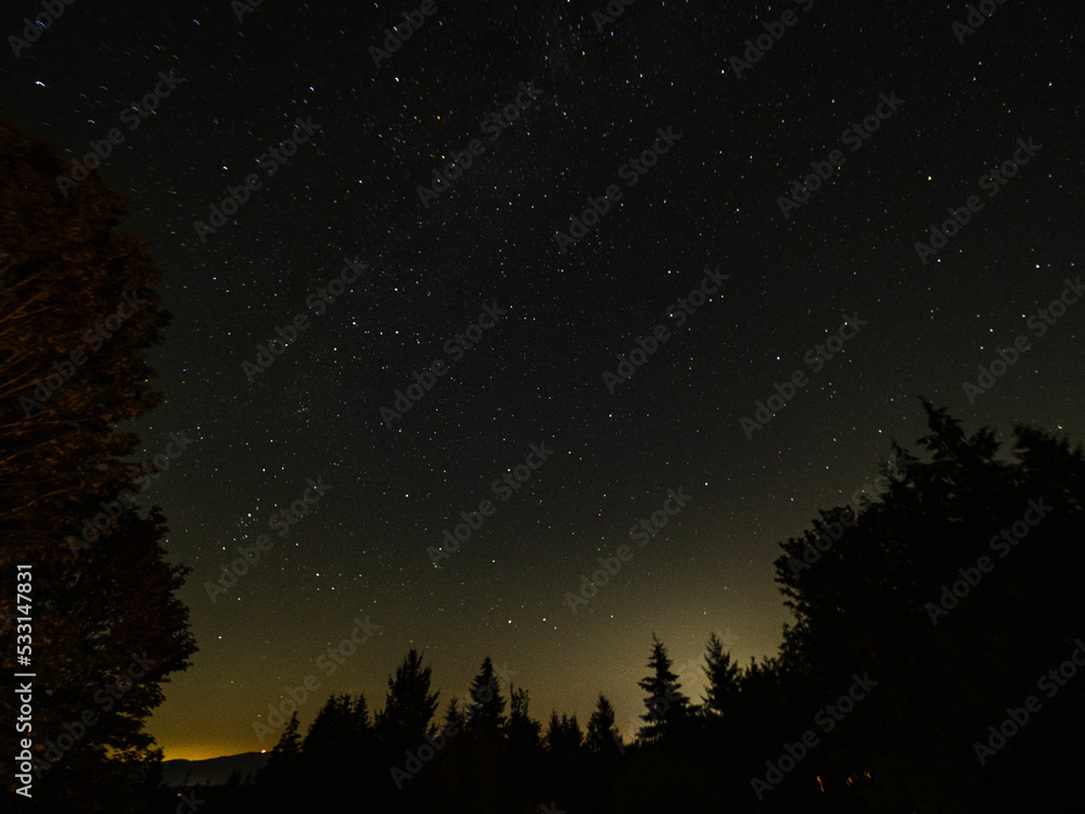 starry night sky with trees on vancouver island starry night sky with trees on vancouver island