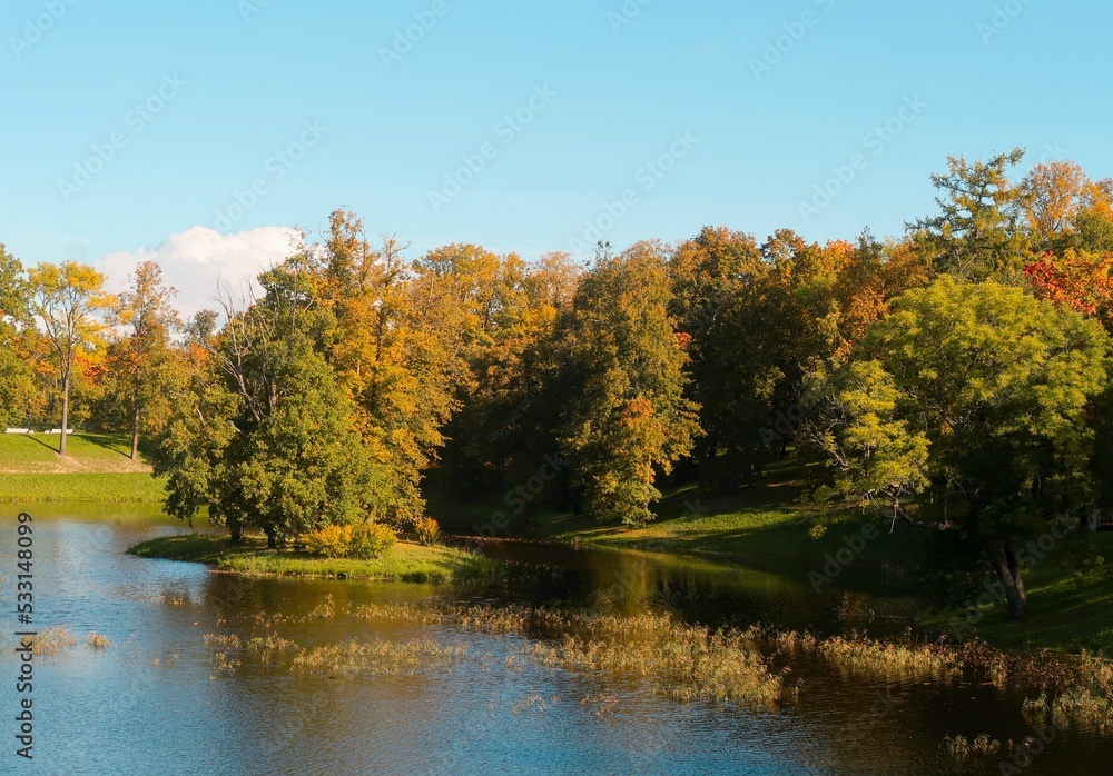 autumn in the park