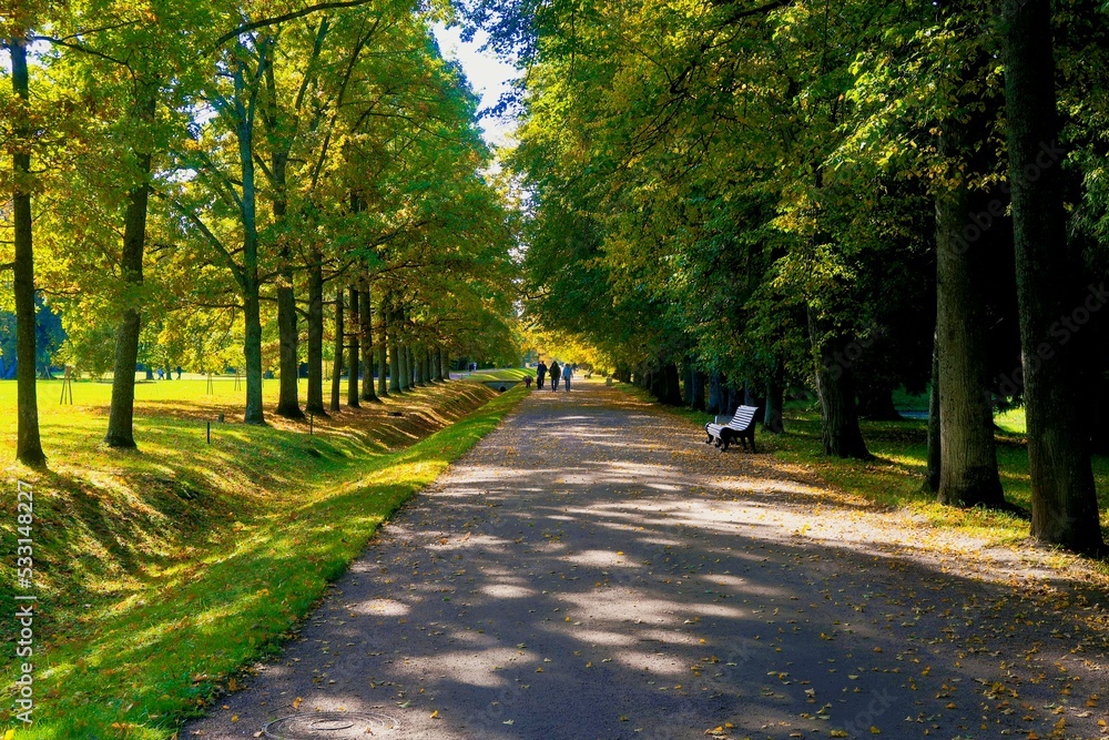 alley in the park