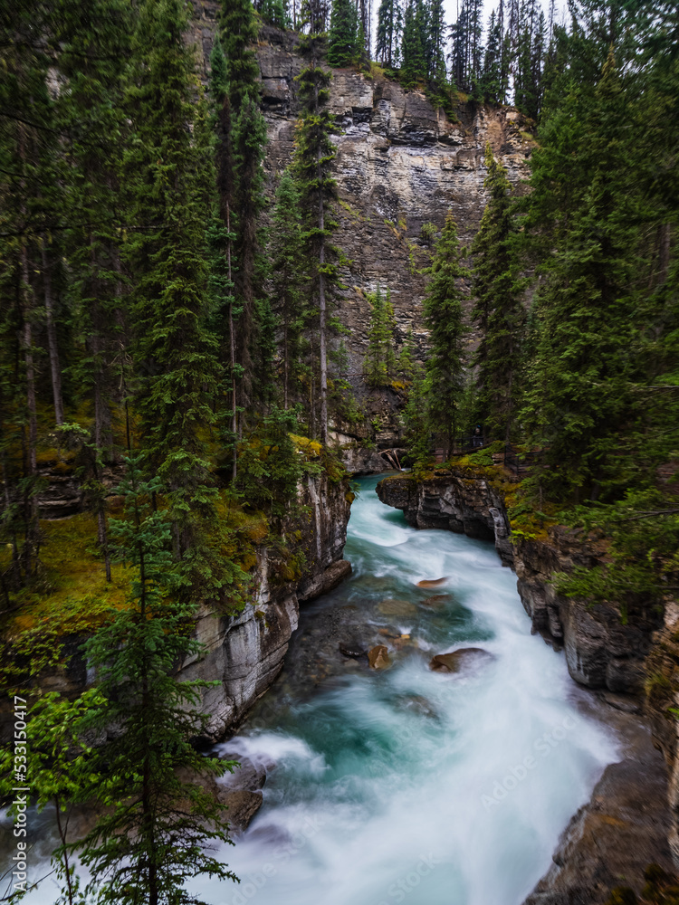 maligne river in the forest in jasper national park