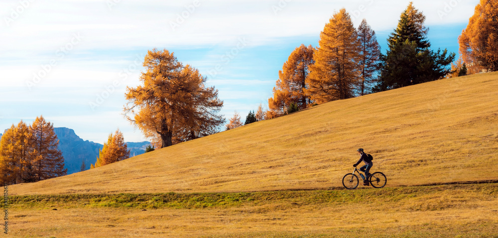 Cyclists ride road in Alps fall in Alpe di Siusi. Dolomites, South Tyrol, Alps, Italy. (active lifestyle, bicycle, travel, holiday, inner peace, harmony, honeymoon - concept)