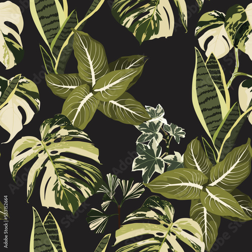 Floral seamless pattern  exotic tropical  leaves and plant on black background.