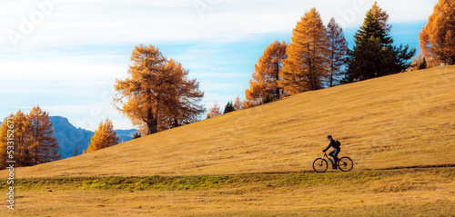 Obraz na płótnie Cyclists ride road in Alps fall in Alpe di Siusi. Dolomites, South Tyrol, Alps, Italy. (active lifestyle, bicycle, travel, holiday, inner peace, harmony, honeymoon - concept) w salonie
