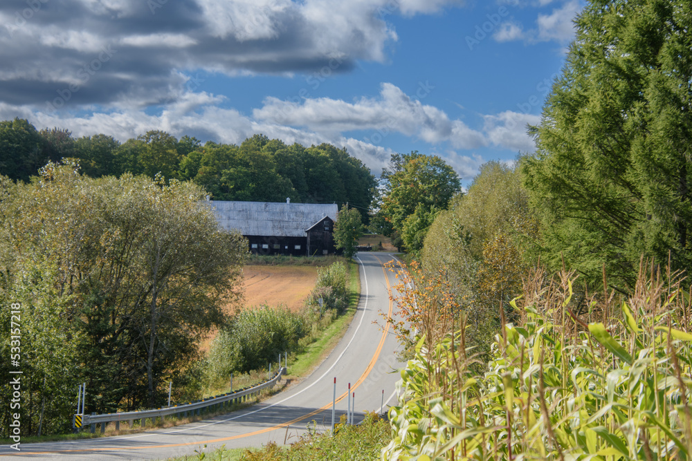 Fototapeta premium Small rural road in the Canadian countryside in the province of Quebec