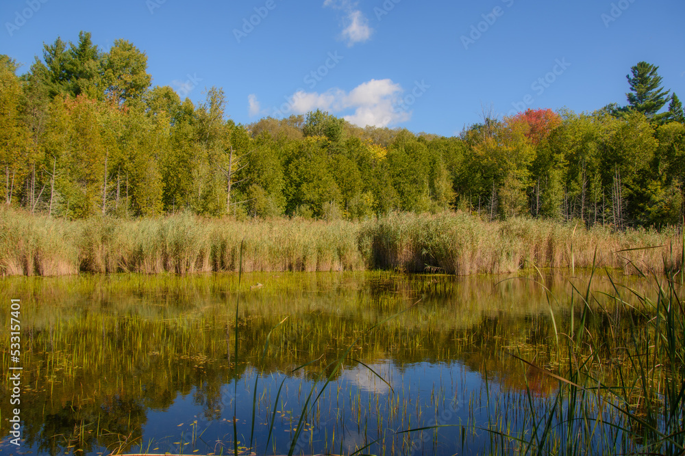 Beautiful fall colors in the Canadian countryside in the province of Quebec Beautiful fall colors in the Canadian countryside in the province of Quebec