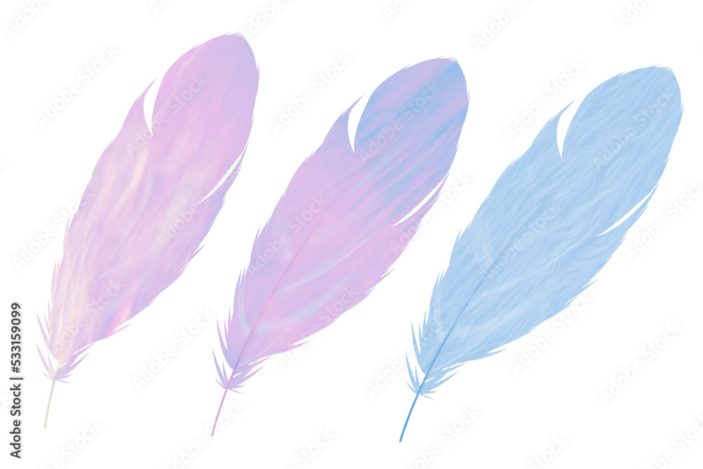 Set of pink and light blue pastel color feather isolated on white background. illustration feather romantic style concept. Set of pink and light blue pastel color feather isolated on white background. illustration feather romantic style concept.