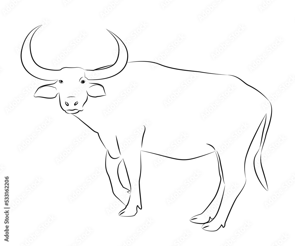 Hand drawn vector buffalo sketch illustration set. Isolated on white ...
