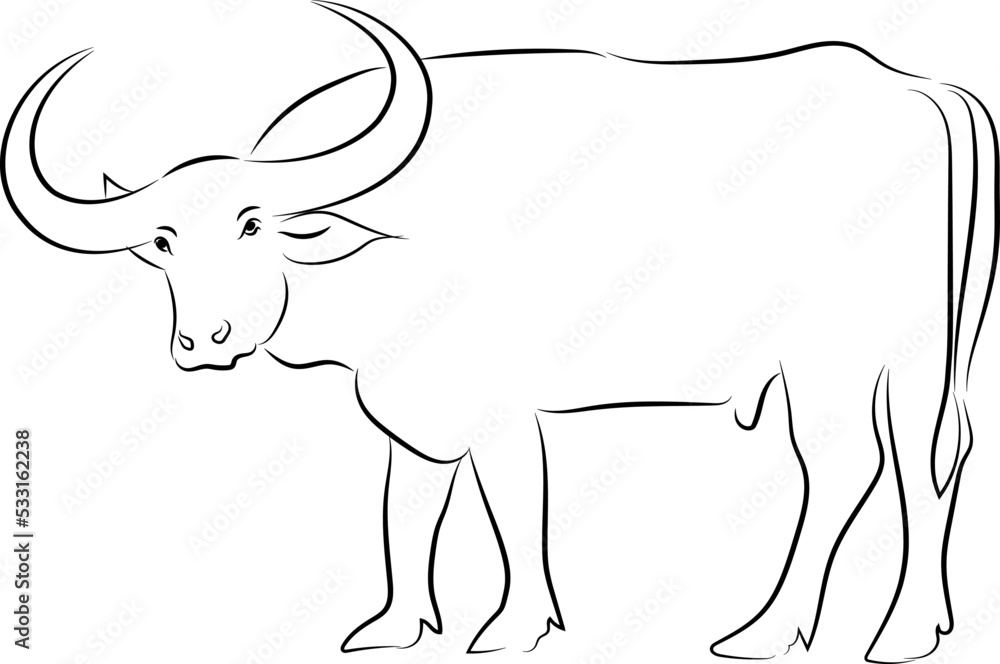  Hand drawn vector buffalo sketch illustration set. Isolated on white background.vector isolated buffalo with black color design illustration
