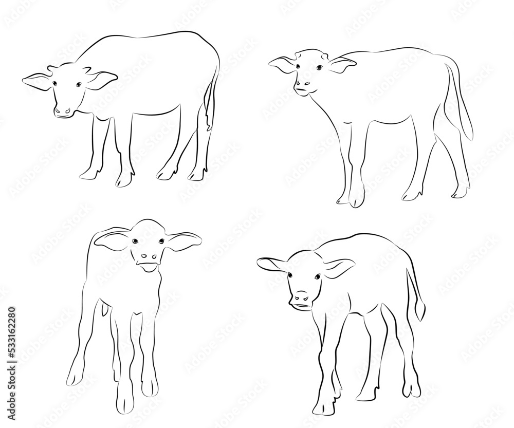 Hand drawn vector buffalo sketch illustration set. Isolated on white ...