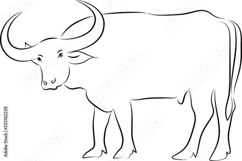  Hand drawn vector buffalo sketch illustration set. Isolated on white background.vector isolated buffalo with black color design illustration 