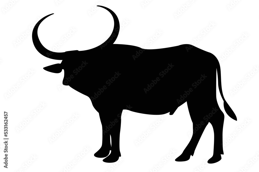 Vector image of an buffalo on white background.vector isolated buffalo ...