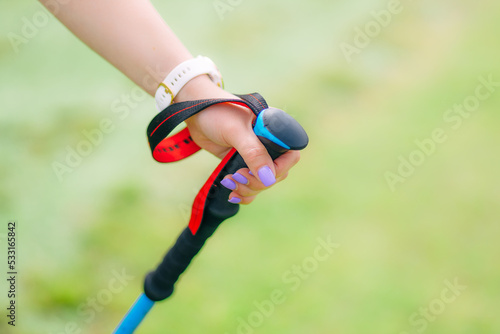 active woman's hand holds sticks and is engaged in Nordic walking.