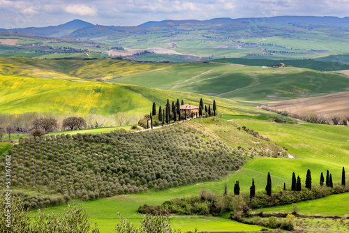 Typical landscape, house on a hill with cypress alley in spring in the Val d'Orcia in Tuscany, Italy.