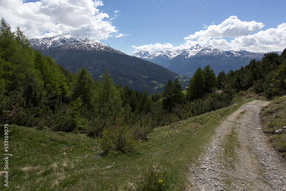 A mountain landscape near Bormio