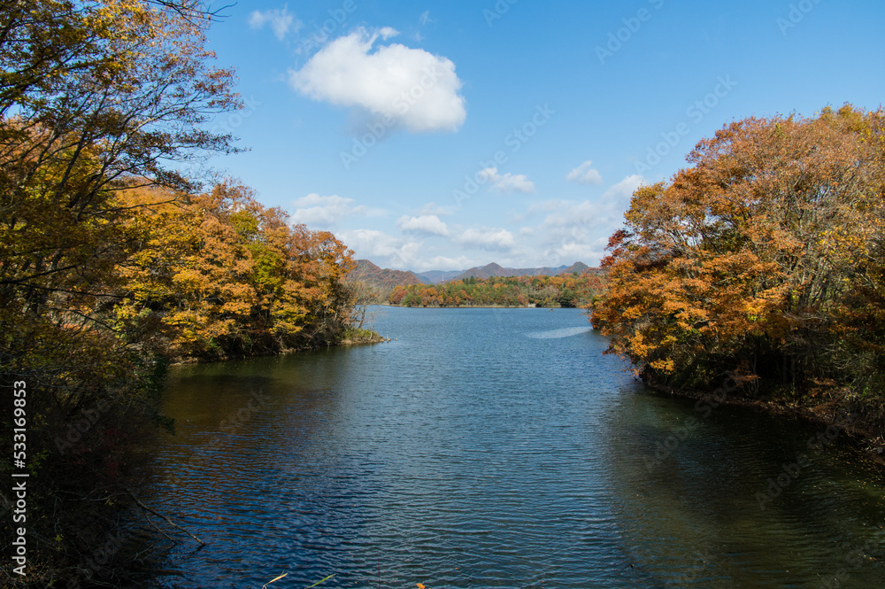 千丈寺湖(兵庫県三田市)の秋