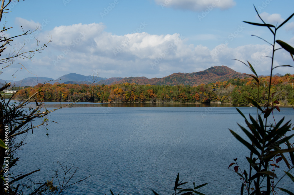 千丈寺湖(兵庫県三田市)の秋