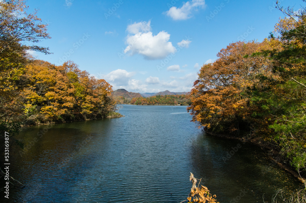 千丈寺湖(兵庫県三田市)の秋