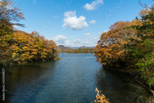 Obraz na płótnie 千丈寺湖(兵庫県三田市)の秋 w salonie
