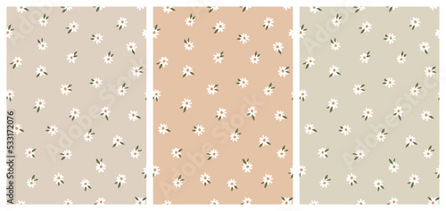 Cute Daisies Seamless Pattern Set on Neutral Earthy Backgrounds. Simple Hand Drawn Vector Illustration. Great for Textile, Fabric Prints, Wrapping Paper.