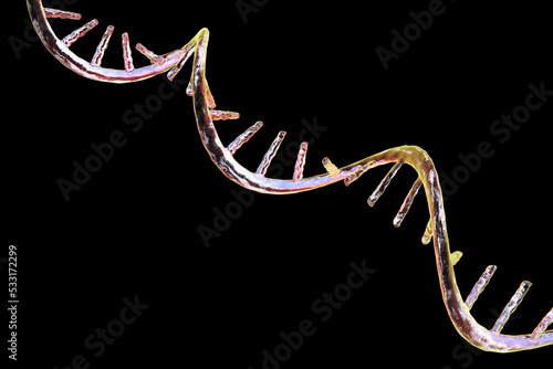 Molecule of mRNA, 3D illustration photo