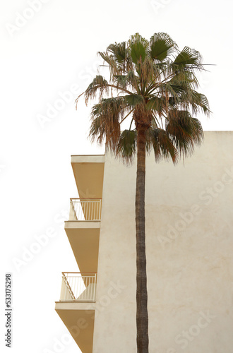 apartment building with palmtree