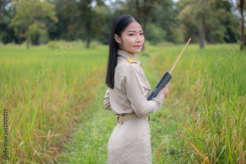 Thai rural teacher in rice field,Portrait of asian woman on field,countryside thailand.