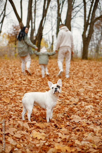 Young family walking in autumn forest with their dog