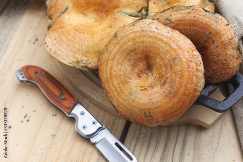 Níscalos frescos en una bandeja de metal sobre la mesa. Lactarius deliciosus.