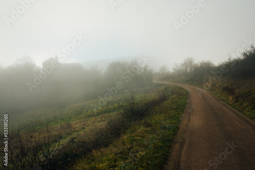 Une route de campagne et du brouillard. Nuages bas. Chemin viticole en hiver. Météo humide. Chemin dans le vignoble. Brume matinale