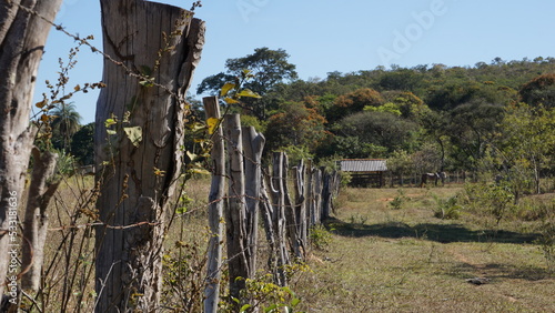 fence in the field