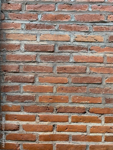 abstract wall texture. the concept of a house wall or fence for home decoration. Minimalist house made of bricks   sandstone. The walls are overgrown with plants  adding a natural   elegant impression