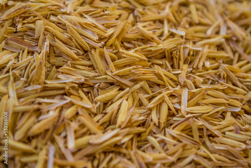 Select focus of Yellow Rice husks for background photo