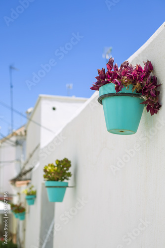 Fototapeta Naklejka Na Ścianę i Meble -  A beautiful Tradescantia plant in a turquoise flower pot hangs on the white wall of the house. A street decorated with flowers in pots in the town. Estepona, Spain. A vertical image.