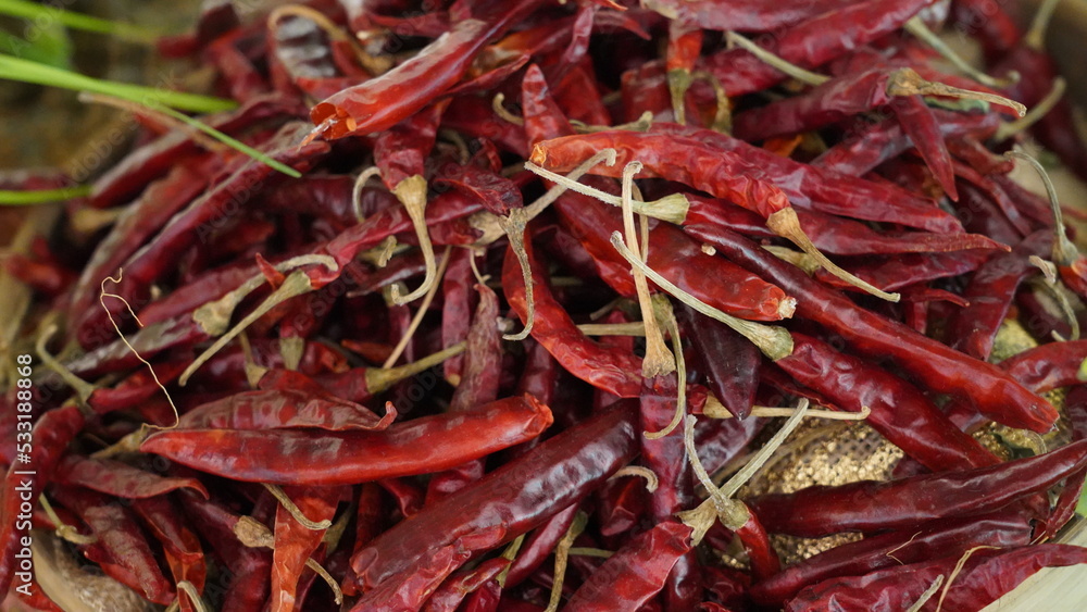 Fototapeta premium red chili peppers