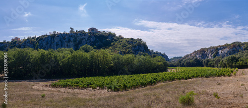 Widok na prowansalskie winnice, panorama. Zielone winorośla ukryte w zacisznej dolinie wśród wzgórz. photo