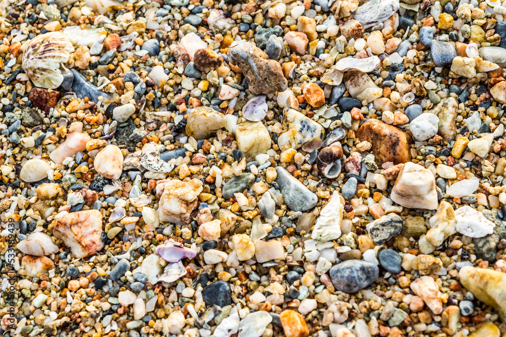 Stones and shells on the shore for background Stones and shells on the shore for background